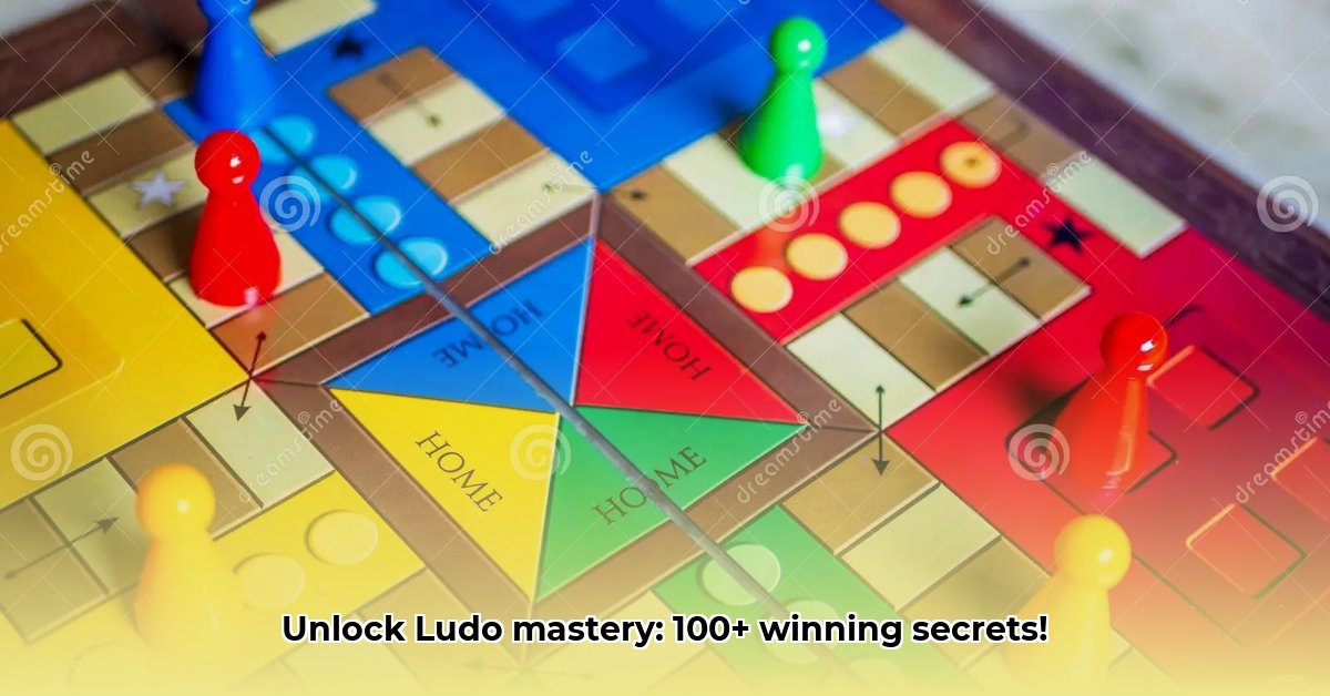 ludo-winner